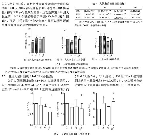 艾詩(shī)特蝦青素