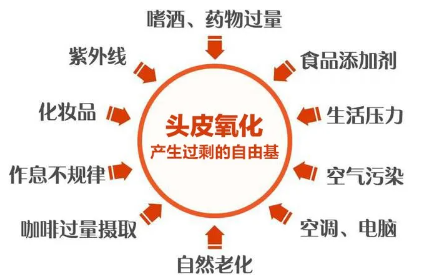 艾詩(shī)特蝦青素