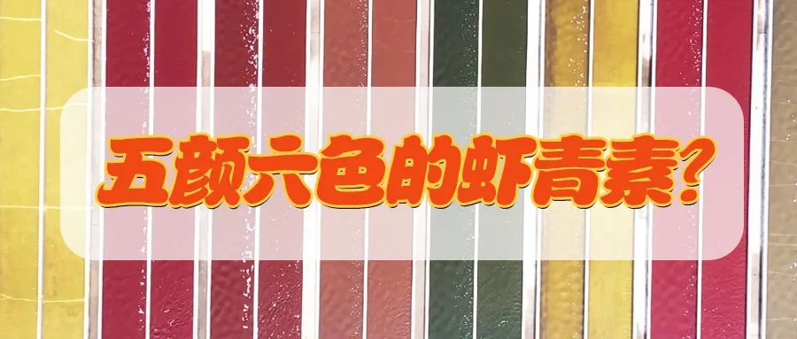 艾詩(shī)特蝦青素