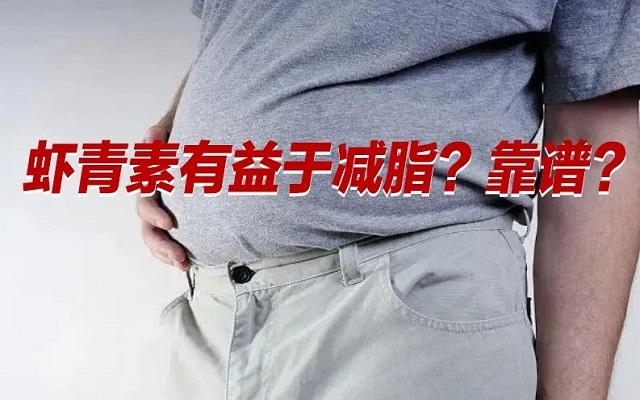 【冷知識(shí)】肥胖居然是一種炎癥！蝦青素有益于“消炎”？