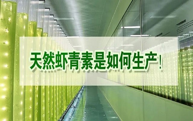 天然蝦青素是如何生產(chǎn)？走進(jìn)源頭工廠(chǎng)看一看！